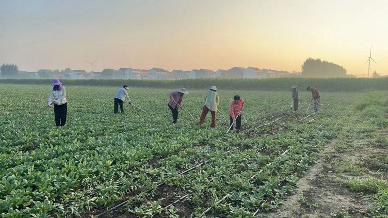 武陟县乔庙镇黄村村情介绍