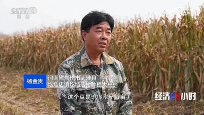 【央媒聚“焦”】焦作再上央视！区域化党建巧解乡村振兴“密码”！