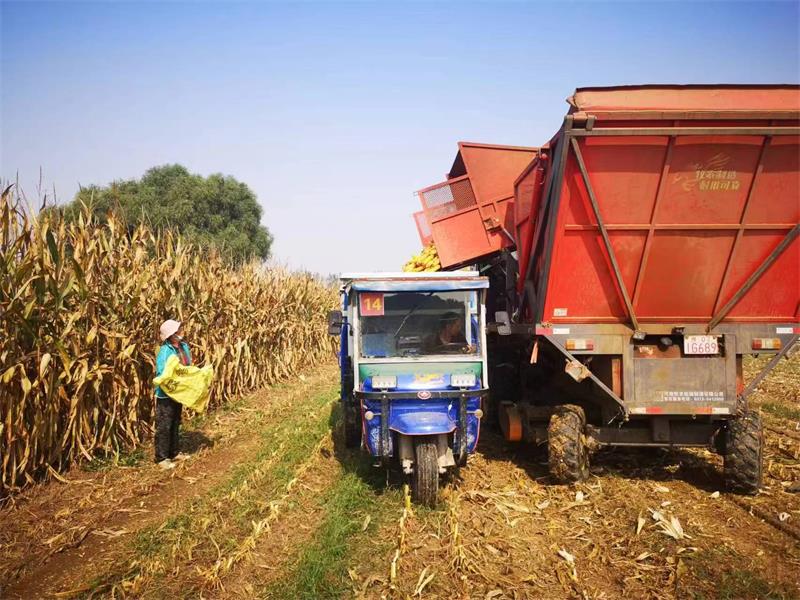 微信图片_20241206085025